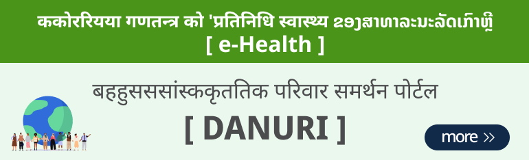 korea's Leading Health Potal[e-Health] Multicultural family support portal [Danuri]